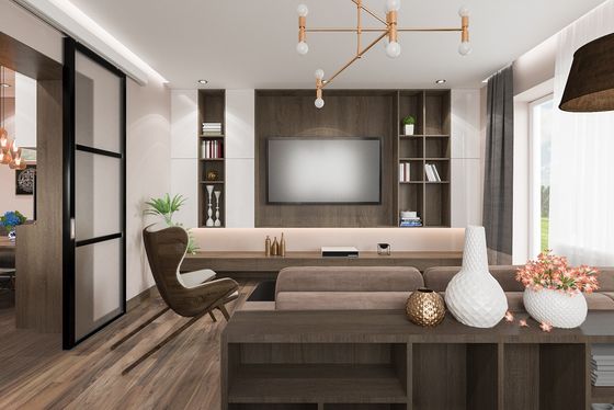 Le serpent blanc a formé Gauze Curtains Transparent And Shading que les balcons aboient Windows