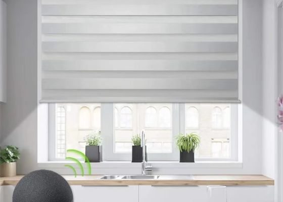 Rideau aveugle en zèbre semi aveugle manuel pour l'obscurcissement flexible de salon