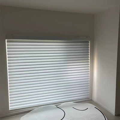 Rideau aveugle Gray Colored For Living Room blanc en zèbre de rouleau