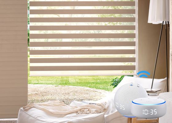 Rideau aveugle en zèbre électrique durable automatique pour l'hôtel de bureau