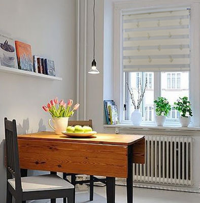 Contrôle de luxe de corde d'abat-jour de rouleau de zèbre de panne d'électricité de tissu pour Windows
