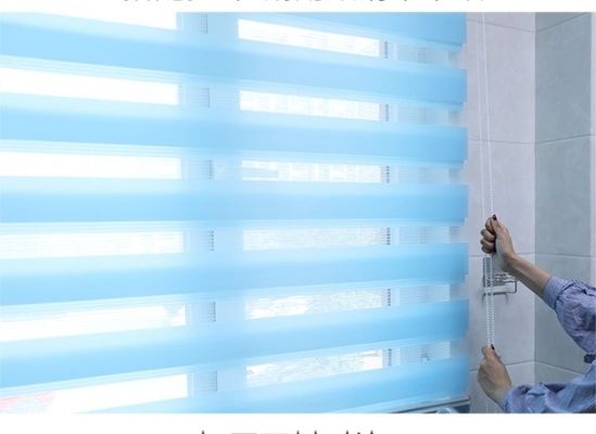 Rideau aveugle de roulement horizontal en zèbre pour la chambre à coucher de salon