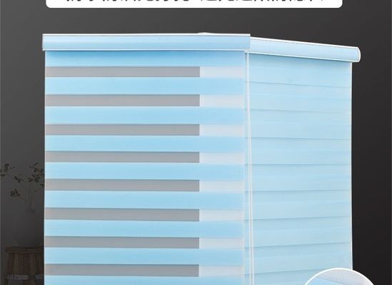 Rideau aveugle de roulement horizontal en zèbre pour la chambre à coucher de salon
