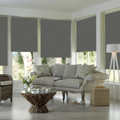 La fenêtre de bureau de polyester de PVC drape la protection UV imperméable de style de zèbre