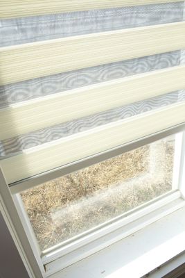 La fenêtre décorative de bureau de rouleau drape l'ODM de style de zèbre de double couche de rideaux