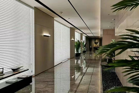 Le moteur de Tuya aveugle le pliage à télécommande d'ondulation de La de Shangri pour le salon