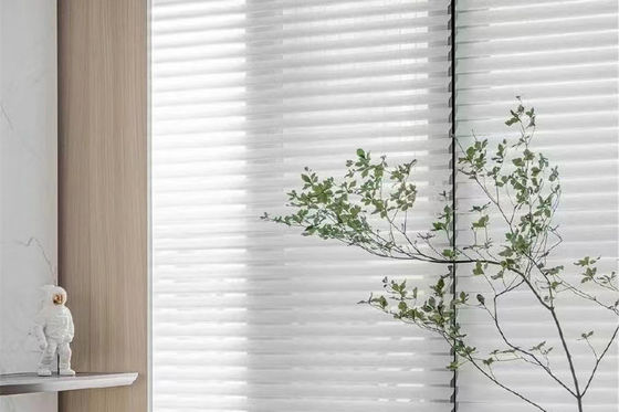 Les rideaux en La de Shangri de panne d'électricité de polyester imperméabilisent le contrôle à chaînes manuel