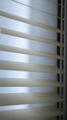 Le PVC écument rideau vertical rêveur résistant en huile UV imperméable semi aveugle de rouille