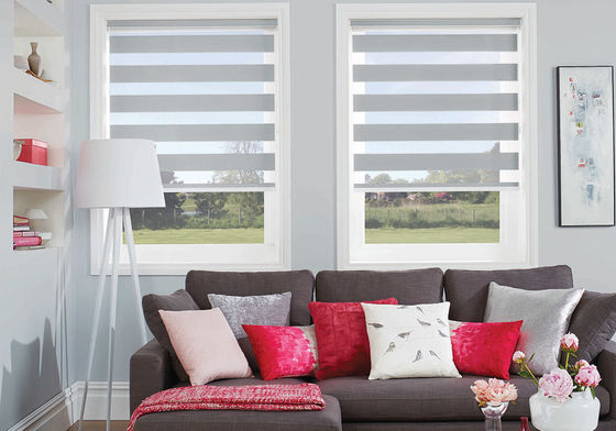 Double couche de rideau aveugle horizontal d'intérieur en zèbre pour le salon