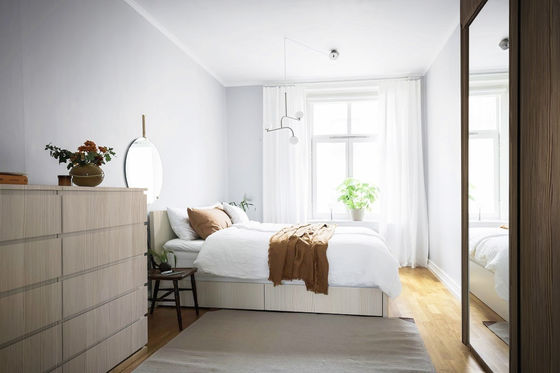 Le serpent blanc a formé Gauze Curtains Transparent And Shading que les balcons aboient Windows