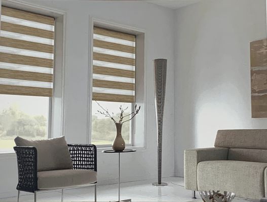 Parasol et protection solaire mous d'ingénierie de Gauze Blackout Curtains Office Bathroom de zèbre de double couche